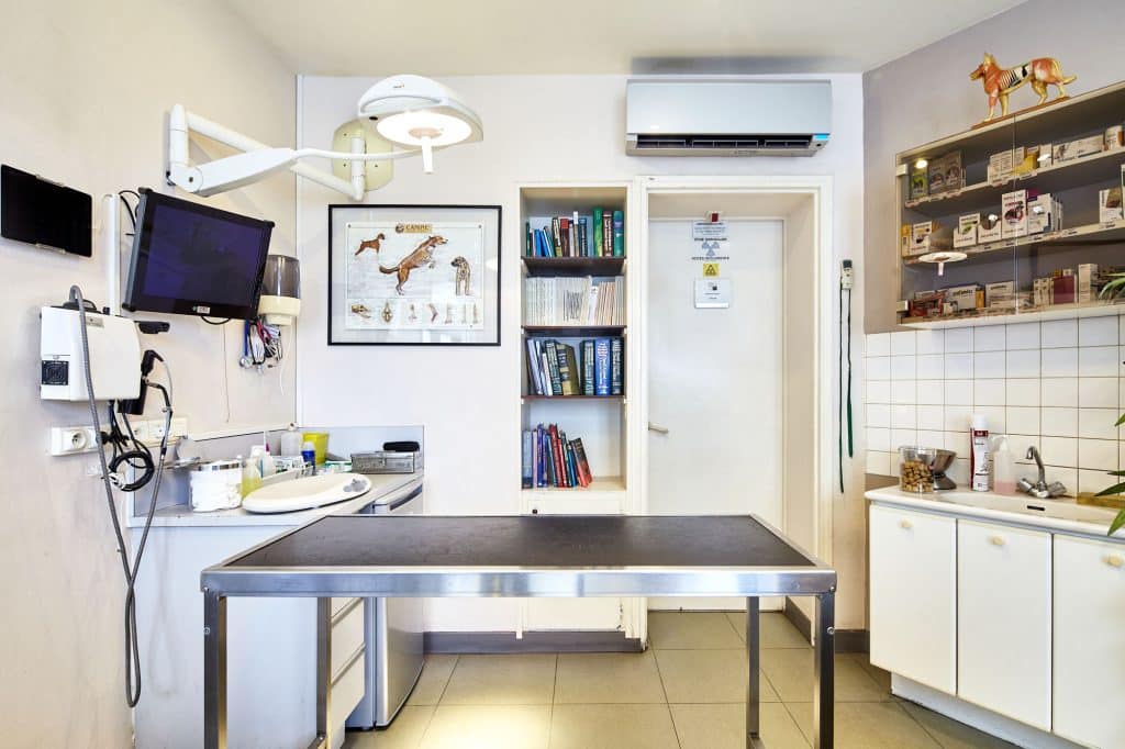 docteur-veterinaire-paris-auteuil-2