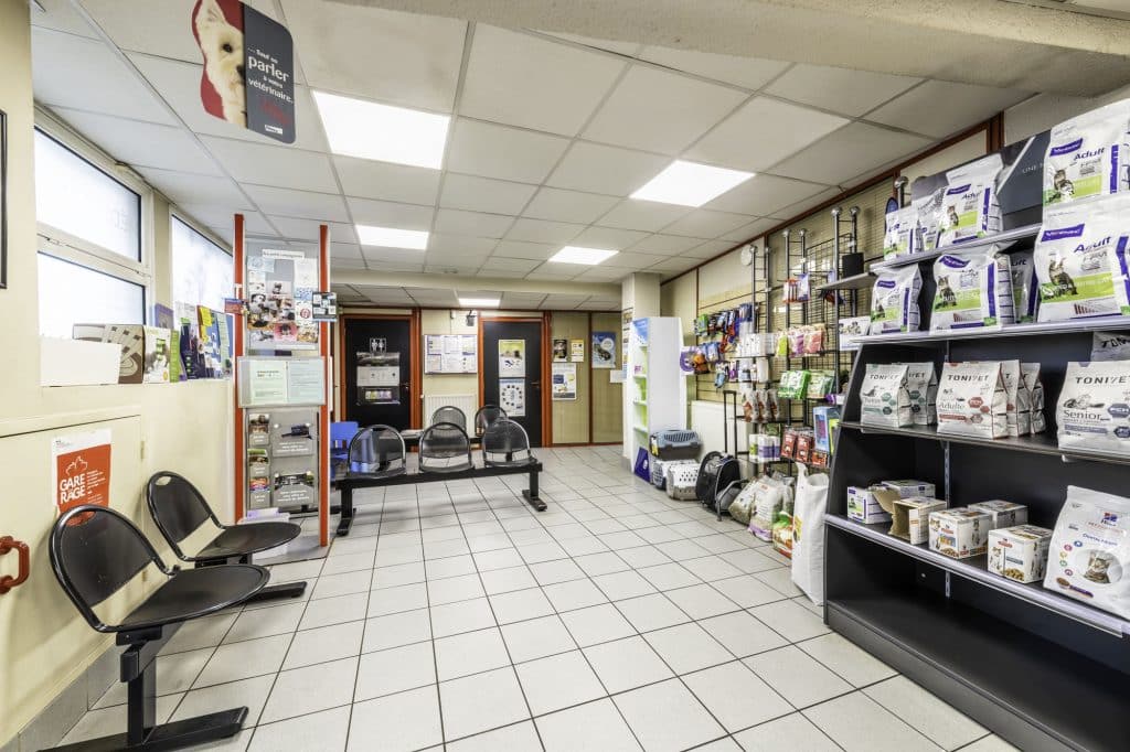 clinique-veterinaire-brest-branda