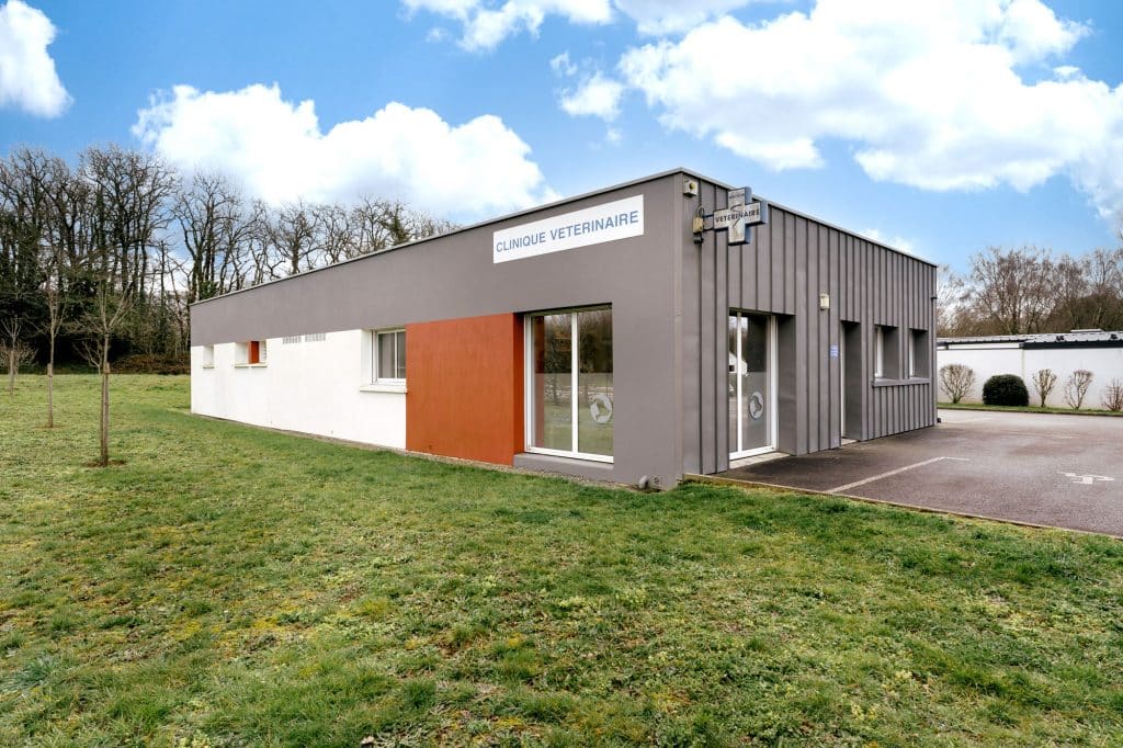 recrutement-veterinaire-a-hennebont