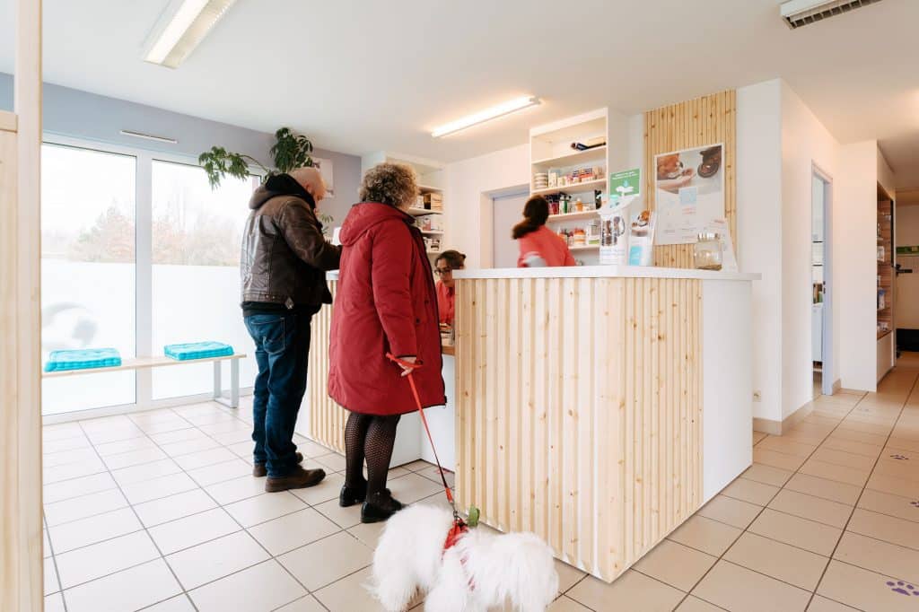 recrutement-veterinaire-a-hennebont