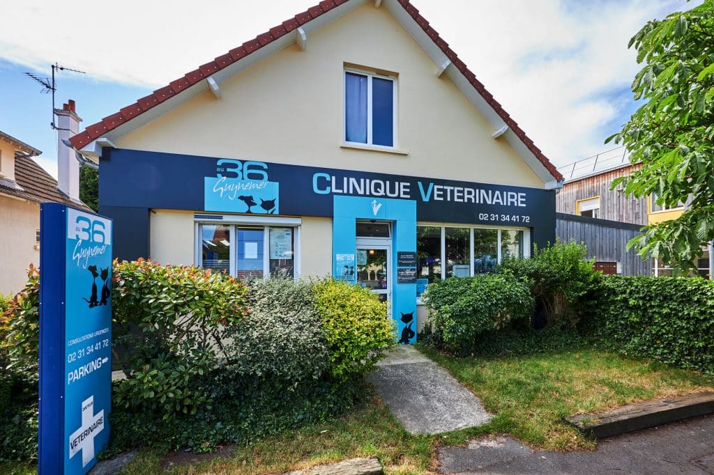 clinique-veterinaire-caen-guynemer