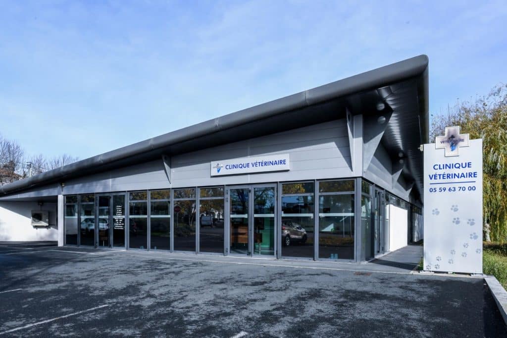 Recrutement vétérinaire Anglet